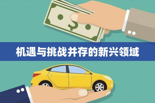 定海机遇与挑战并存的新兴领域