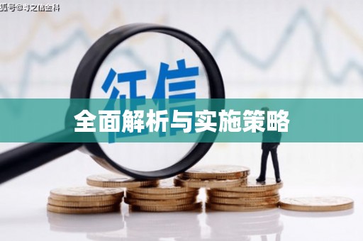 定海全面解析与实施策略