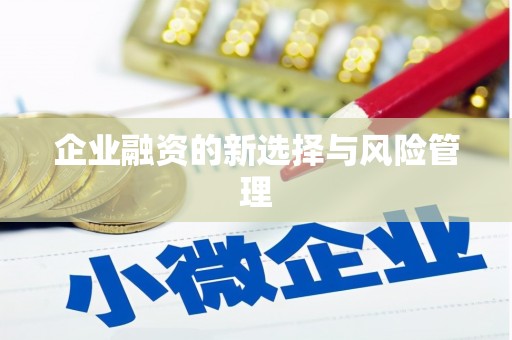 定海企业融资的新选择与风险管理