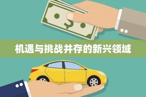 定海机遇与挑战并存的新兴领域