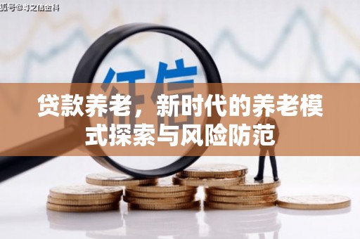 定海贷款养老，新时代的养老模式探索与风险防范