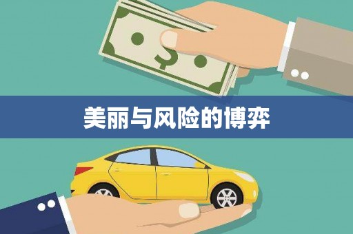 定海美丽与风险的博弈