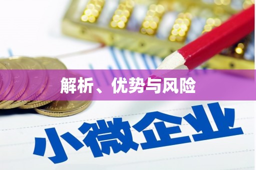 定海解析、优势与风险