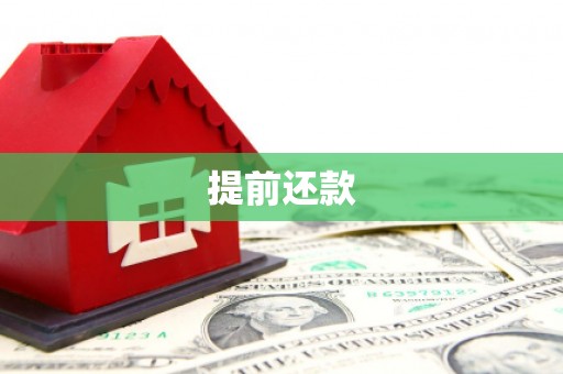 定海提前还款
