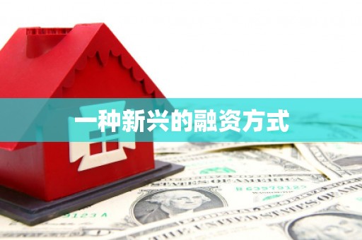 定海一种新兴的融资方式