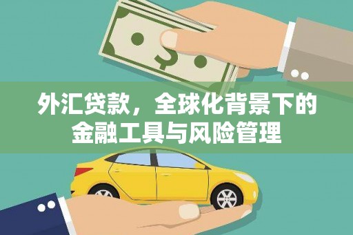 定海外汇贷款，全球化背景下的金融工具与风险管理
