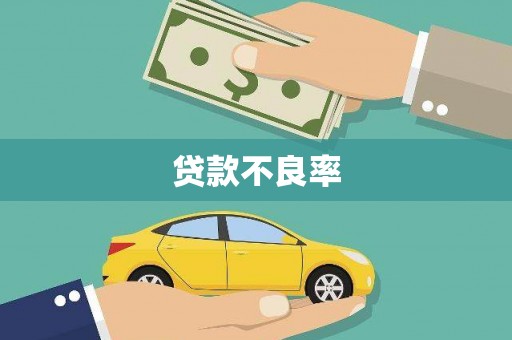 定海贷款不良率