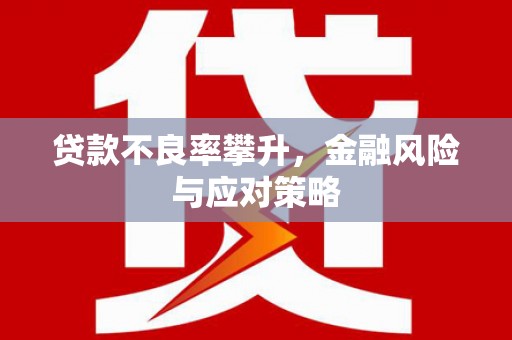 定海贷款不良率攀升，金融风险与应对策略