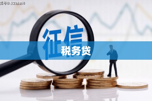 定海税务贷